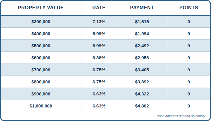 Published 5/1 ARM cash-out chart showing purchase prices, interest rates, payments, and points. Contact AREG for an accessible personalized quote and APR.