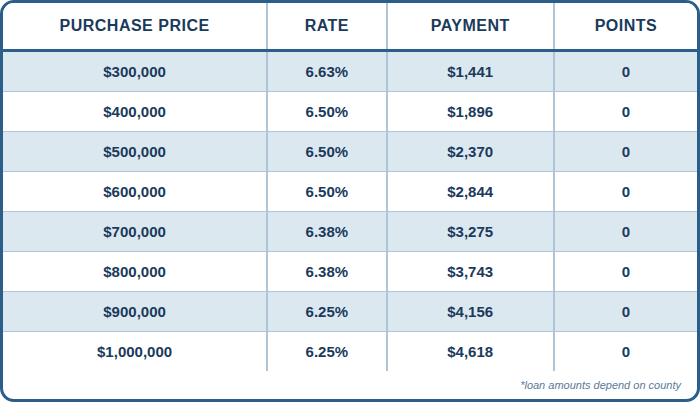 Published DSCR purchase chart showing purchase prices, interest rates, payments, and points. Contact AREG for an accessible personalized quote and APR.