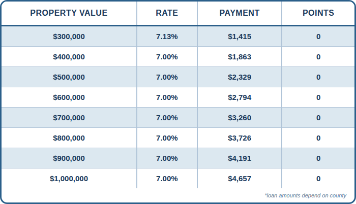 Published 12-month bank statement cash-out chart showing purchase prices, interest rates, payments, and points. Contact AREG for an accessible personalized quote and APR.